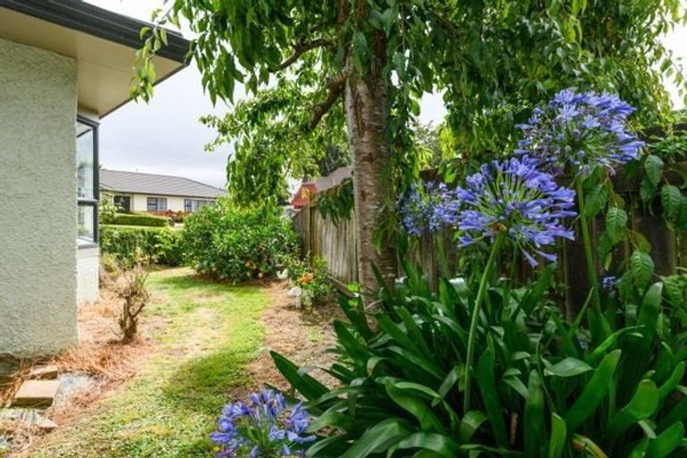 Photo of property in 7 Jamesdale Court, Ashhurst, 4810