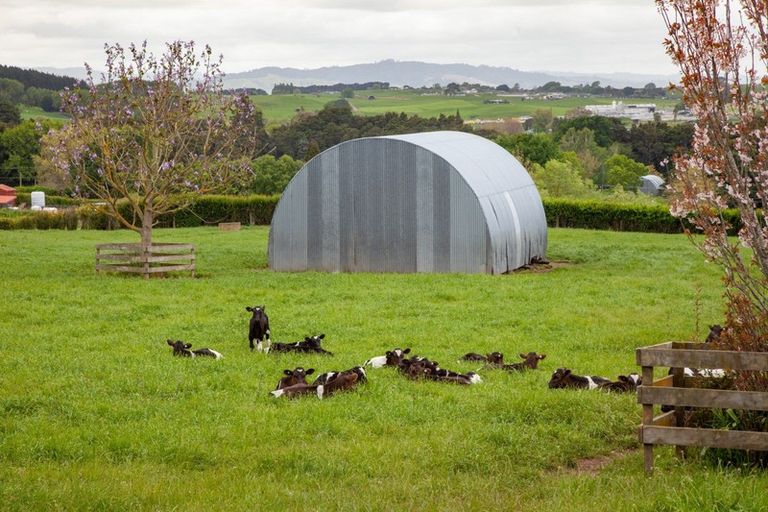 Photo of property in 492 Kuranui Road, Morrinsville, 3372