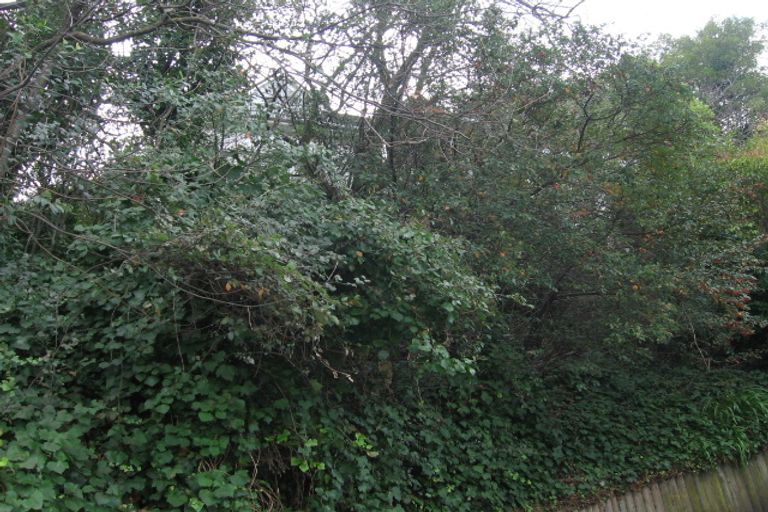 Photo of property in 5 Havelock Terrace, Hospital Hill, Napier, 4110