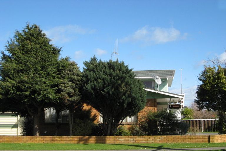 Photo of property in 90 Macarthur Street, Levin, 5510