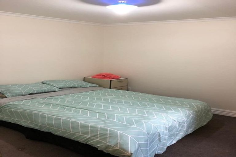 Photo of property in 16 Mechanic Street, North East Valley, Dunedin, 9010