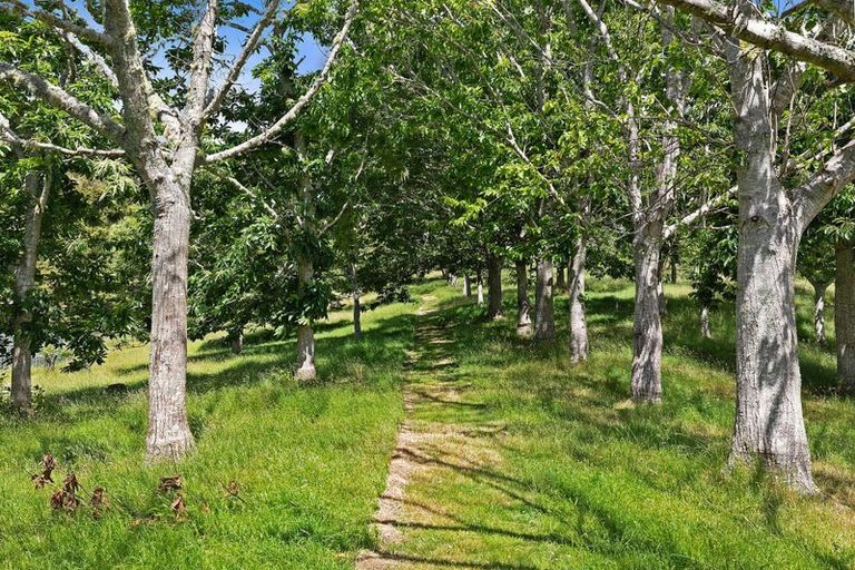 Photo of property in 50 Waitoki Road, Waitoki, Kaukapakapa, 0871