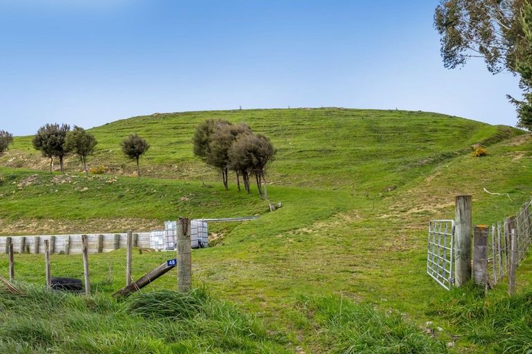 Photo of property in 48 Norsewood Ormondville Road, Norsewood, 4974