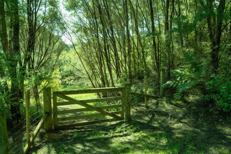 Photo of property in 690 Waikino Road, Karetu, Kawakawa, 0283