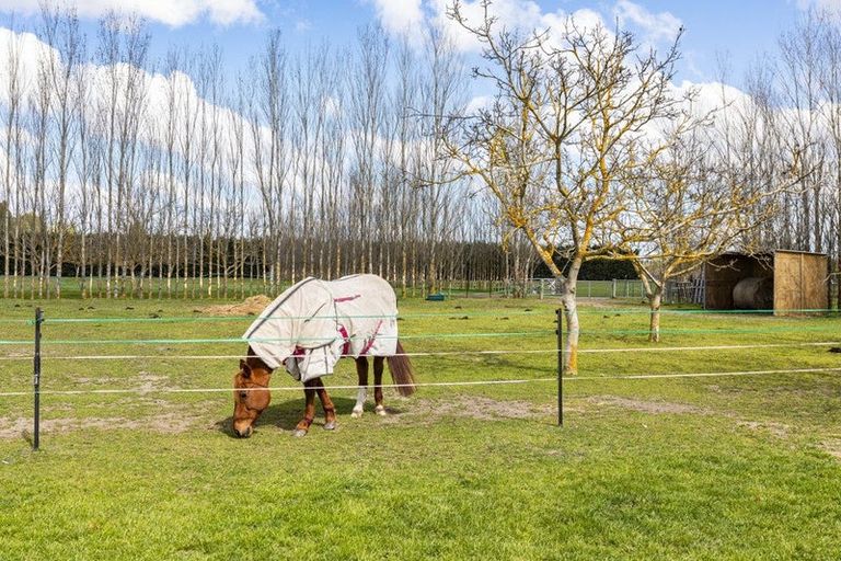 Photo of property in 1468 Tram Road, Swannanoa, Rangiora, 7475