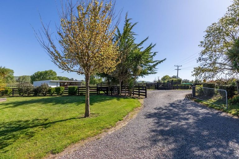 Photo of property in 312 Racecourse Road, Waipukurau, 4282