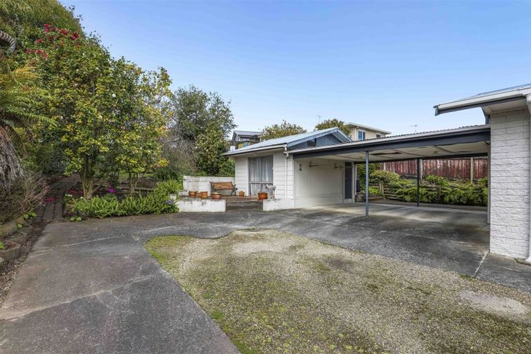 Photo of property in 12 Thomson Avenue, Dinsdale, Hamilton, 3204