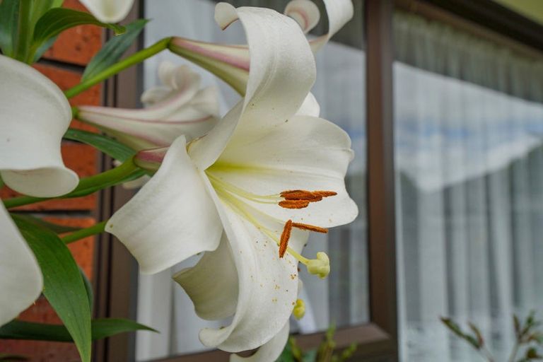 Photo of property in 22 Craig Street, Waikiwi, Invercargill, 9810