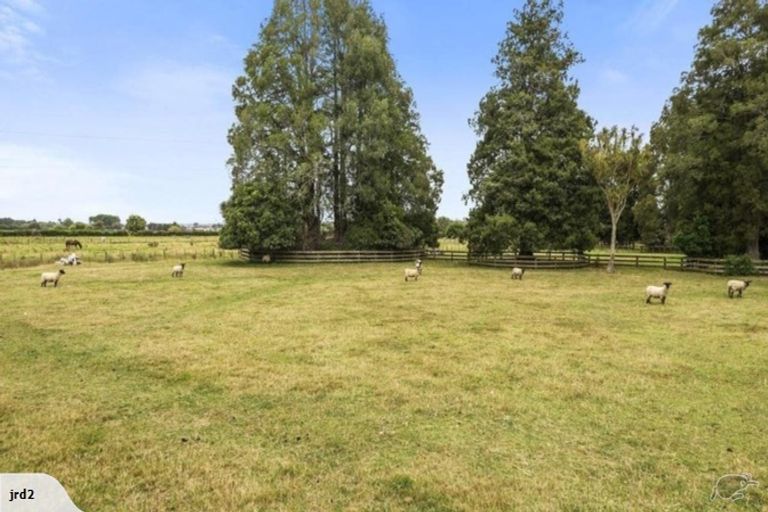 Photo of property in 43 Youngs Grove, Pukekohe, 2120