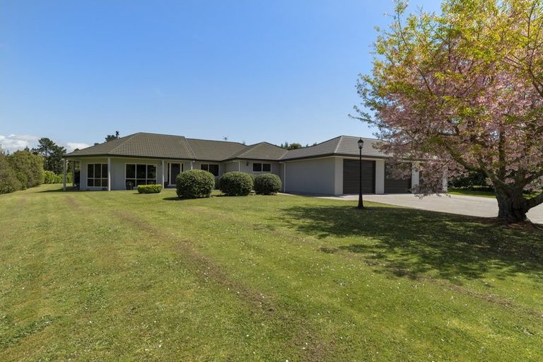 Photo of property in 257 Te Puna Road, Te Puna, Tauranga, 3176