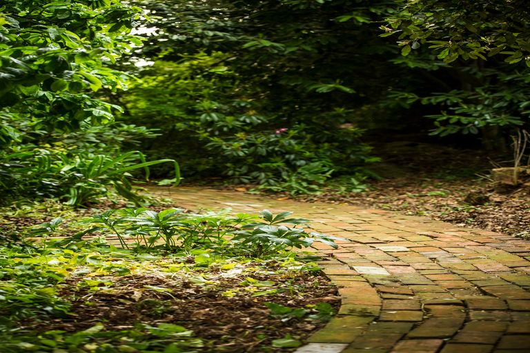 Photo of property in 336 King Street, Temuka, 7920