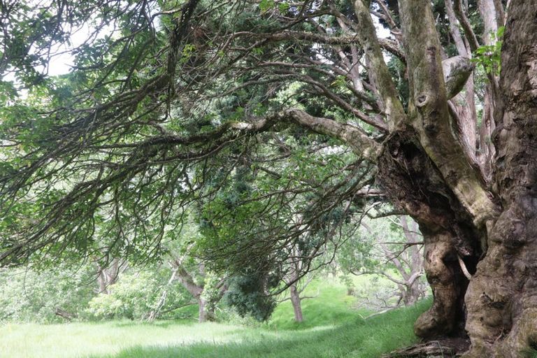 Photo of property in 5 James Road, Huntly, 3771