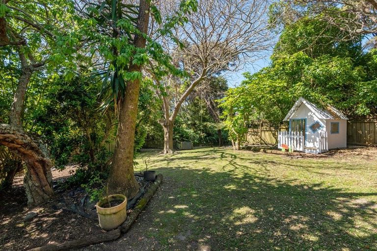 Photo of property in 141a Manuka Road, Bayview, Auckland, 0629