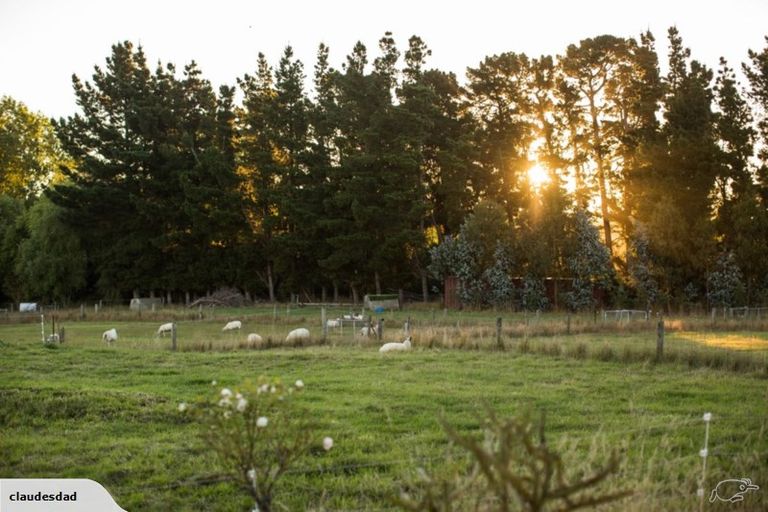 Photo of property in 148 Maskells Road, Balcairn, Amberley, 7481