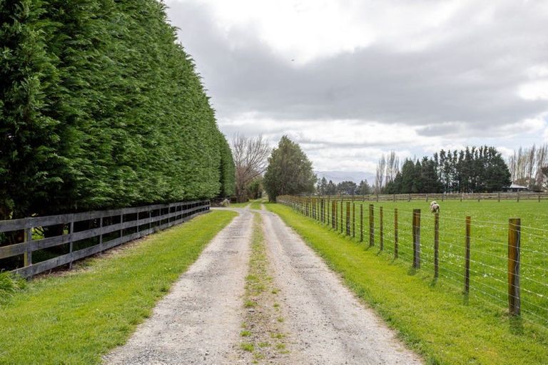 Photo of property in 185a Tipapakuku Road, Dannevirke, 4930