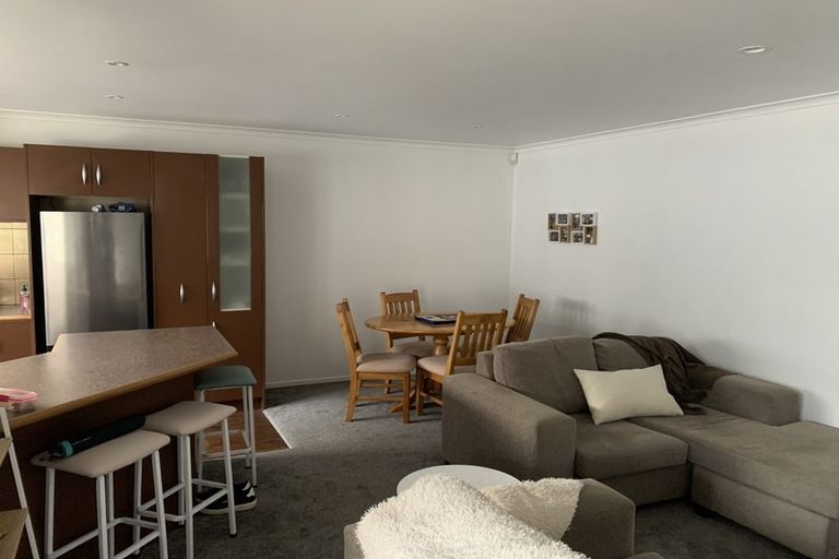 Photo of property in 42c Willoughby Street, Whitiora, Hamilton, 3200