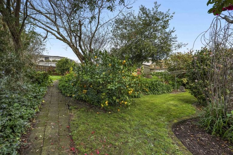 Photo of property in 12 Thomson Avenue, Dinsdale, Hamilton, 3204