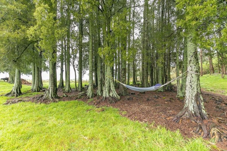 Photo of property in 265c Hakarimata Road, Ngaruawahia, 3793