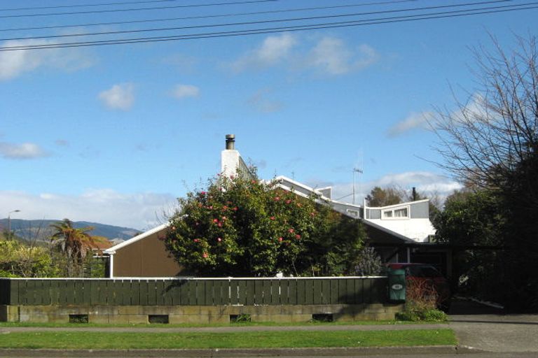Photo of property in 86 Macarthur Street, Levin, 5510