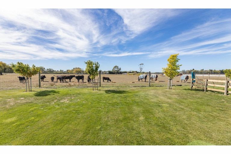 Photo of property in 25 Hallfield Drive, Ohoka, Kaiapoi, 7692