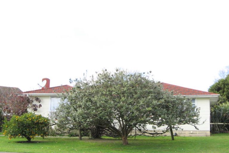 Photo of property in 49 Lipscombe Crescent, Havelock North, 4130