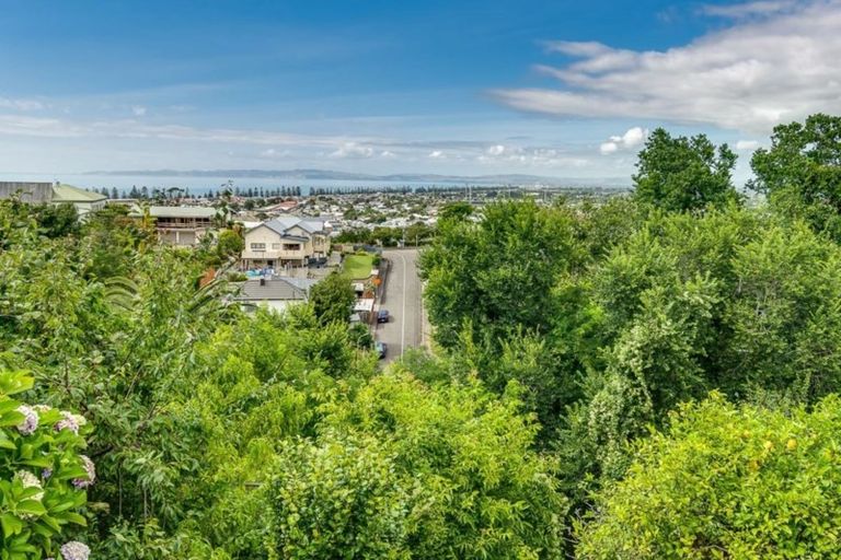 Photo of property in 22 Colenso Avenue, Hospital Hill, Napier, 4110