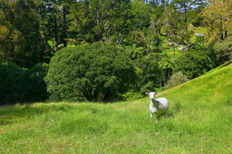 Photo of property in 17 Ridgewood Drive, Ridgewood, New Plymouth, 4371