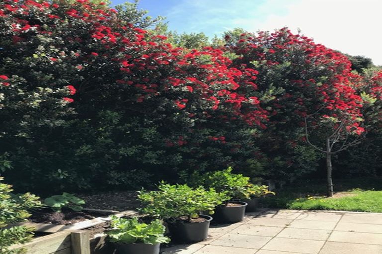 Photo of property in 25 Rue Renard, Akaroa, 7520