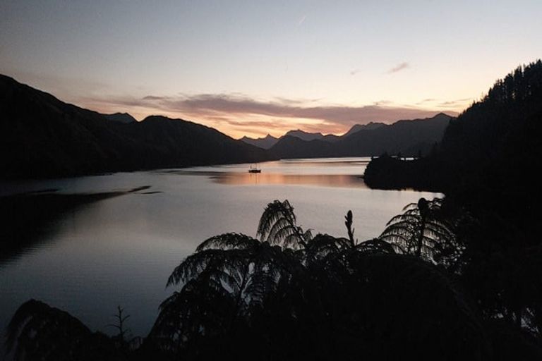 Photo of property in 486 Cissy Bay Road, Cissy Bay, French Pass, 7193