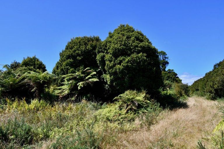 Photo of property in 37 South Terrace Road, Karamea, 7893