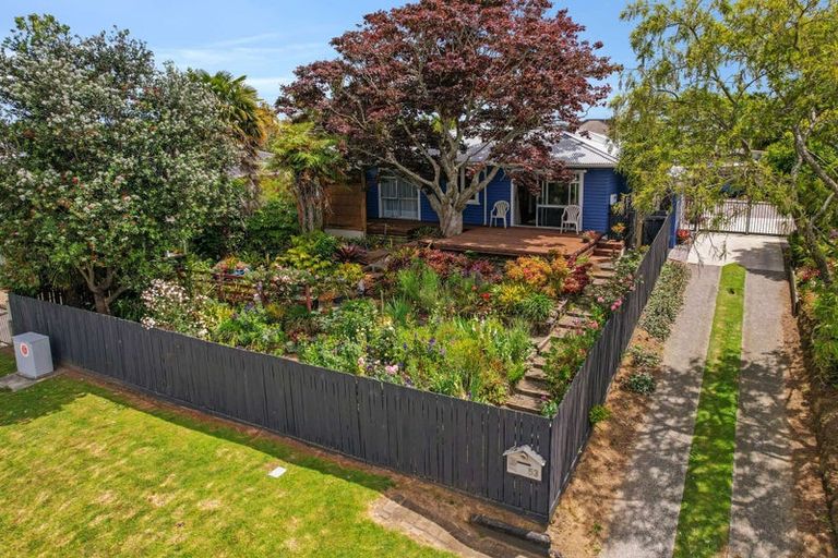 Photo of property in 53 Hampton Terrace, Parkvale, Tauranga, 3112