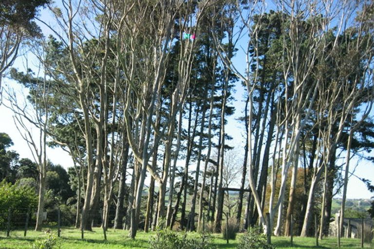 Photo of property in 286 Redoubt Road, Totara Park, Auckland, 2019