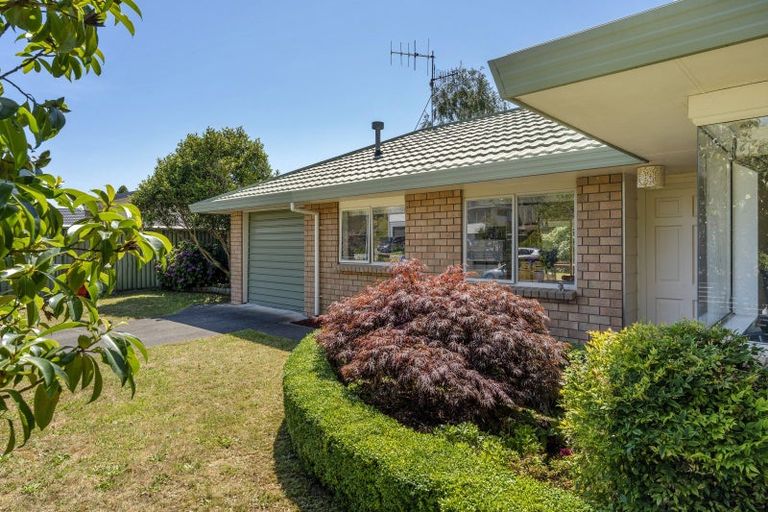 Photo of property in 41 Campbell Avenue, Paraparaumu, 5032