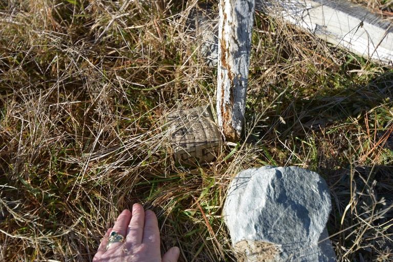 Photo of property in 80 Ohau Drive, Lake Ohau, Twizel, 9412