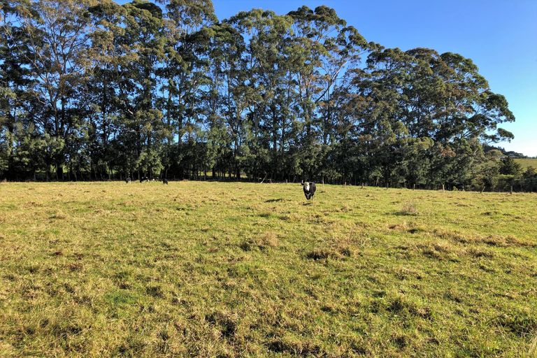 Photo of property in 165a Stanners Road, Kerikeri, 0295