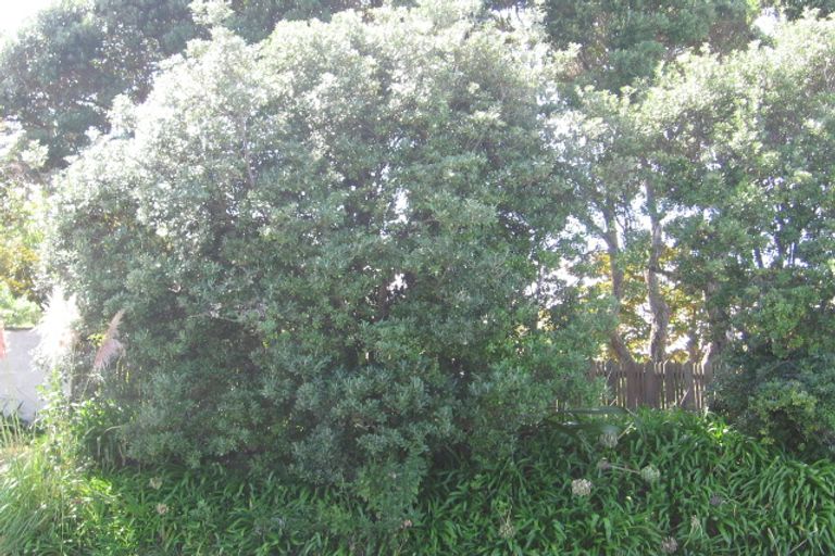 Photo of property in 41 Churchill Road, Murrays Bay, Auckland, 0630