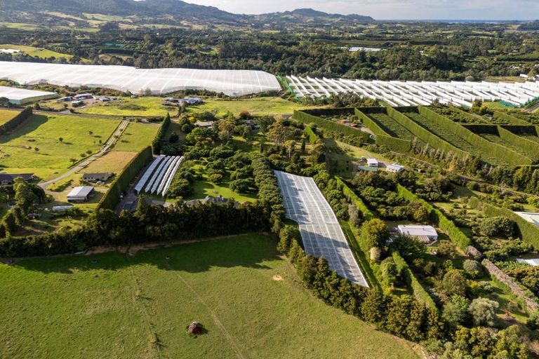 Photo of property in 241 Rea Road, Tahawai, Katikati, 3178