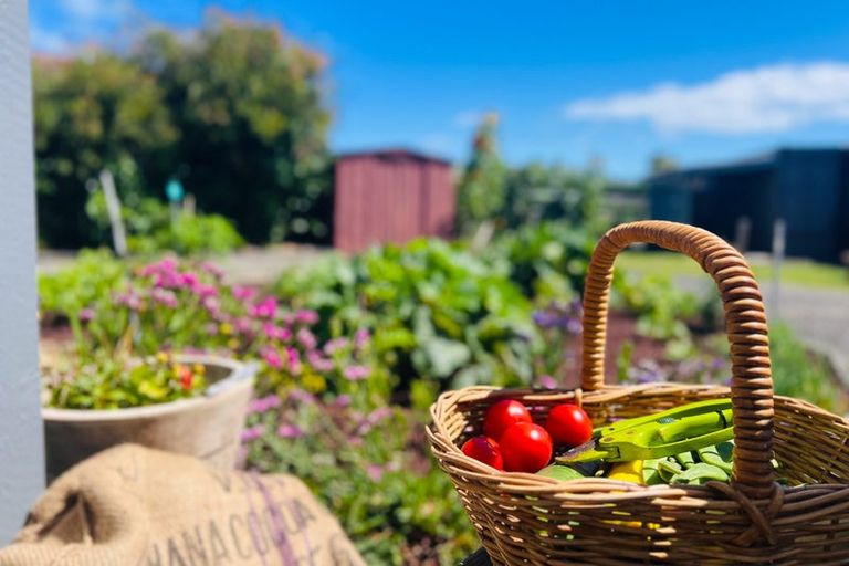 Photo of property in 14 Goldie Place, Waikanae Beach, Waikanae, 5036