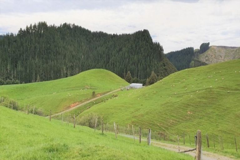 Photo of property in 72 Cogswell Road, Raglan, 3295