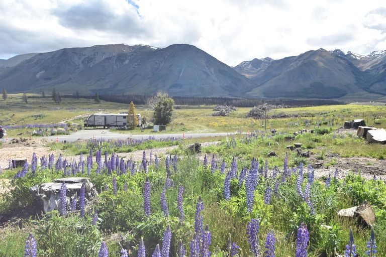 Photo of property in 33 Ohau Drive, Lake Ohau, Twizel, 9412