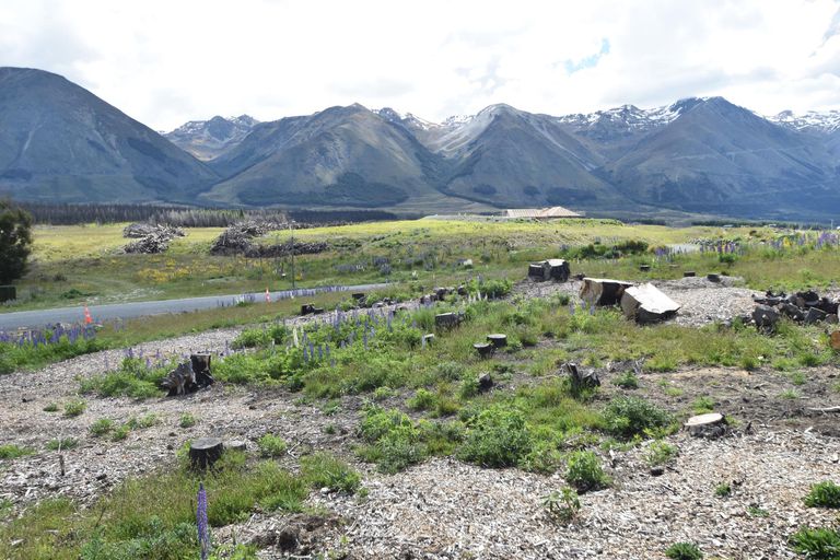 Photo of property in 33 Ohau Drive, Lake Ohau, Twizel, 9412