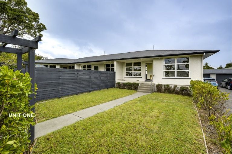 Photo of property in 8 Chambers Street, Havelock North, 4130