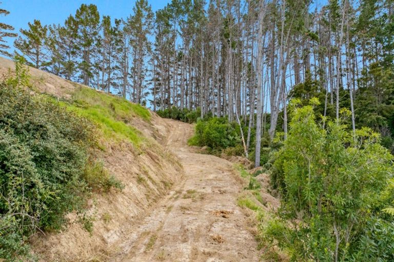 Photo of property in 663 Bickerstaffe Road, Maungaturoto, 0587