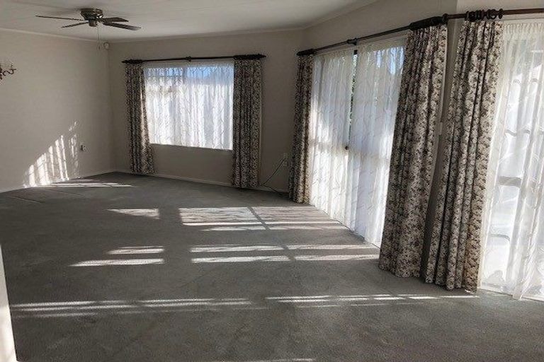 Photo of property in 509 Brunswick Street, Mahora, Hastings, 4120