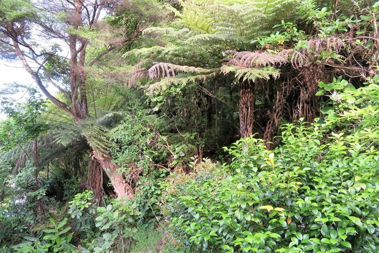 Photo of property in 5 Strange Road, Waiomu, Thames, 3575