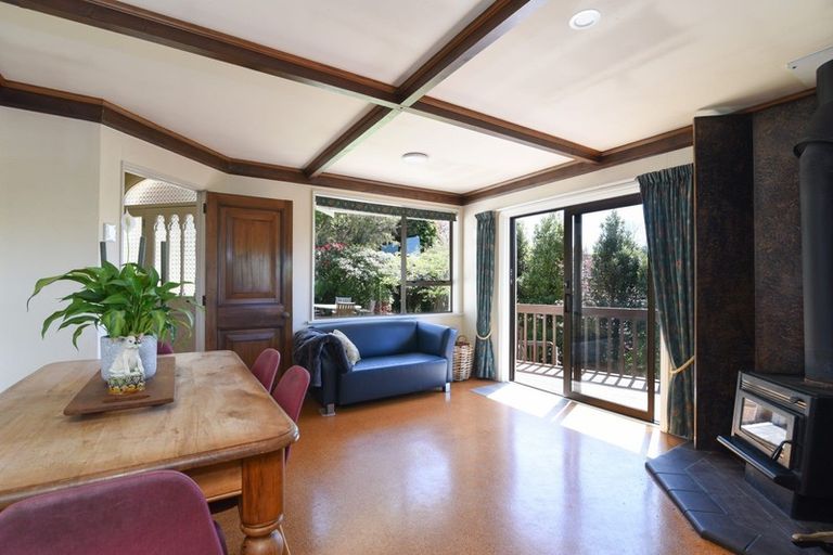 Photo of property in 38 Littlebourne Road, Roslyn, Dunedin, 9010