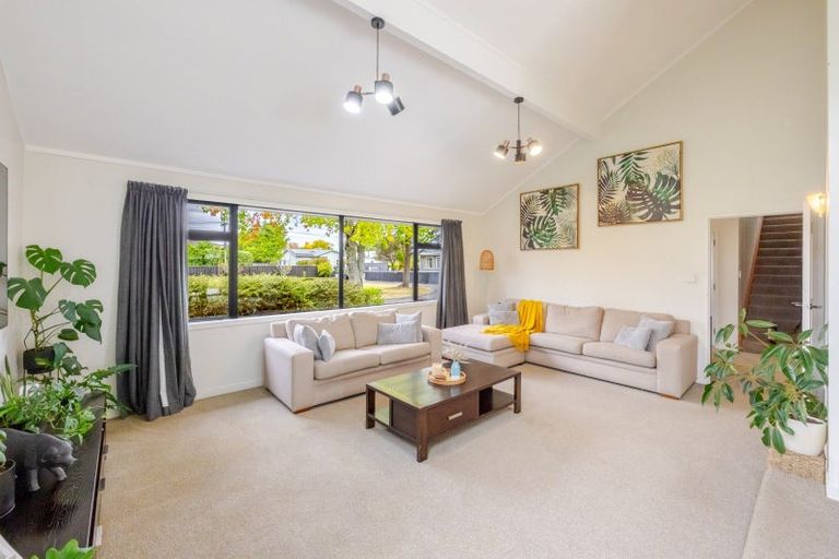 Photo of property in 19 Francis Drake Street, Waipukurau, 4200