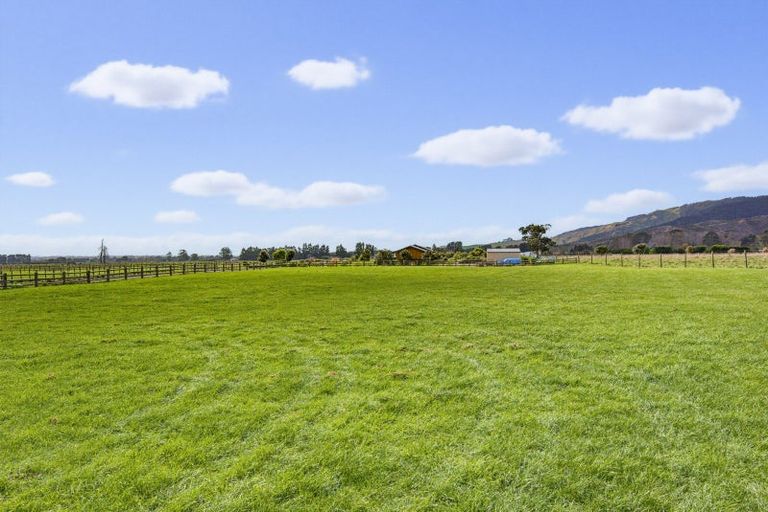 Photo of property in 425 Tararua Road, Levin, 5571
