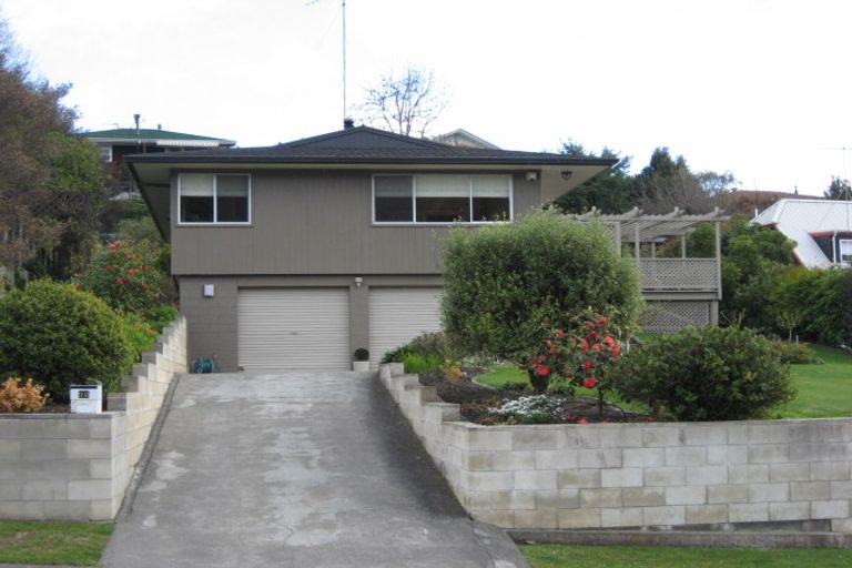 Photo of property in 22 Tokomaru Drive, Havelock North, 4130