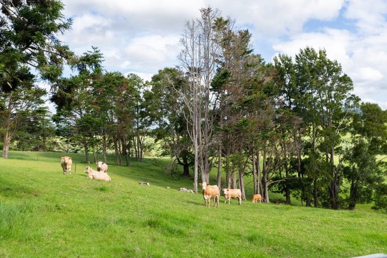 Photo of property in 65 Papa Road, Titoki, Whangarei, 0172